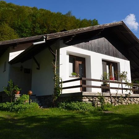 Вила Даяна Ribarica Exterior photo