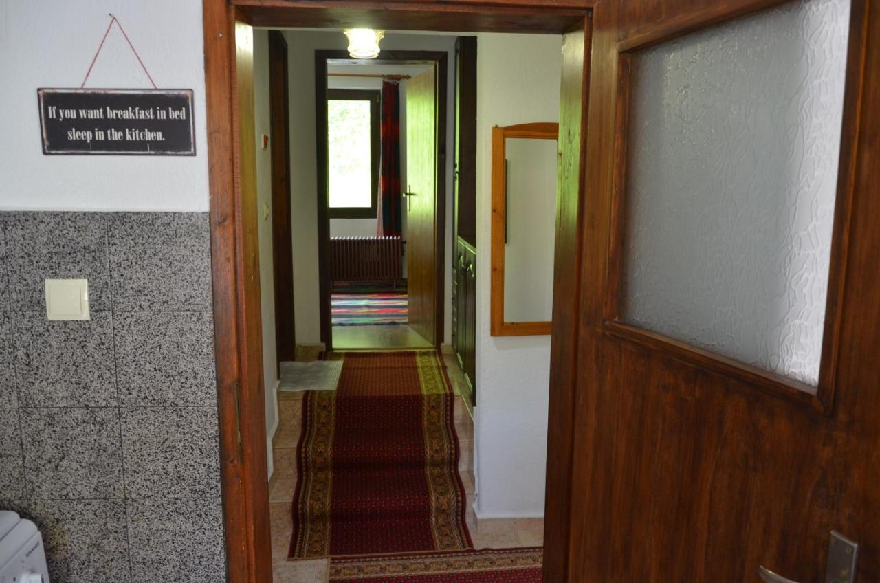 Вила Даяна Ribarica Exterior photo