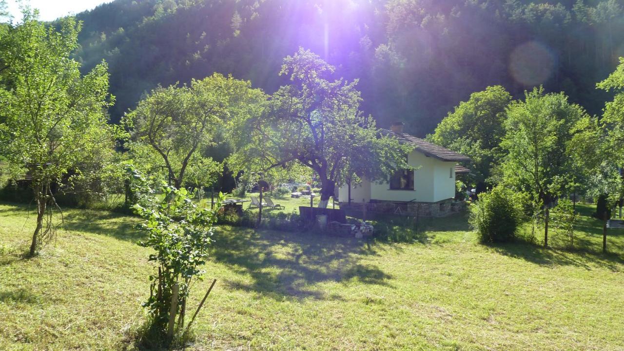 Вила Даяна Ribarica Exterior photo